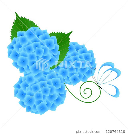 Floral background with blooming blue hydrangeas and butterfly 120764818