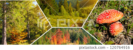 Colorful autumn landscape. Mountain slopes and autumn forests . Collage. Carpathian Mountains, Ukraine. 120764916