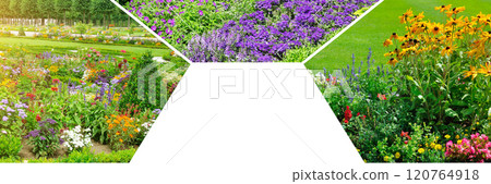 Flowerbeds in gardens and parks. Free space for text. Wide photo. Collage. Mosaic pattern. 120764918