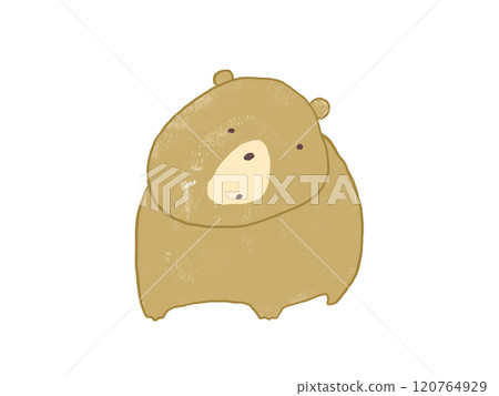 熊盯著某物 熊盯著某物 120764929