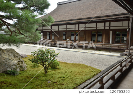 南禪寺大寶城庭園“小虎經過” 南禪寺大寶城庭園“小虎經過” 120765293