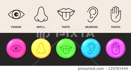 Sense icons. Five sensory organs in minimal line style. Perception symbols. Human hand and tongue symbolizing touch. Eye vision. Smelling nose. Mouth and ear. Vector anatomy pictograms set Sense icons. Five sensory organs in minimal line style. Perception symbols. Human hand and tongue symbolizing touch. Eye vision. Smelling nose. Mouth and ear. Vector anatomy pictograms set 120765449