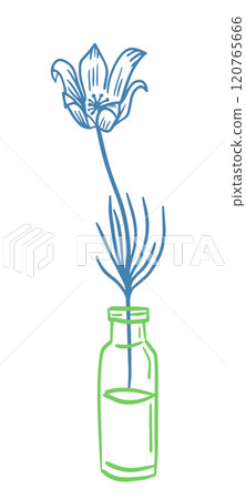 Flower in one line in a vase. hand drawing. Not AI, Vector illustration 120765666