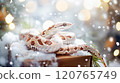 Banner with cute snake on gift box and bokeh background. Symbol of New Year 2025 120765749