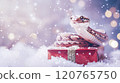 Banner with cute snake on gift box and bokeh background. Symbol of New Year 2025 120765750
