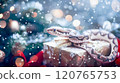 Banner with cute snake on gift box and bokeh background. Symbol of New Year 2025 120765753