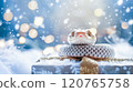 Banner with cute snake on gift box and bokeh background. Symbol of New Year 2025 120765758