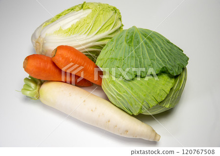 Fresh vegetables Fresh vegetables 120767508
