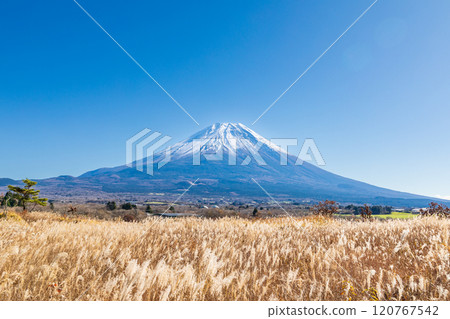 「靜岡縣」秋天的朝霧高原和芒芒蔓延的富士山 120767542