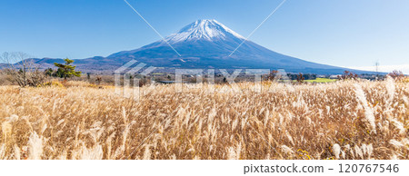 「靜岡縣」秋天的朝霧高原和芒芒蔓延的富士山 120767546