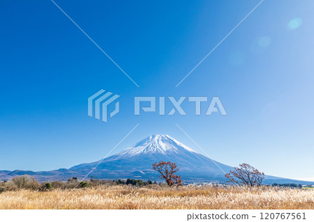 「靜岡縣」秋天的朝霧高原和芒芒蔓延的富士山 120767561