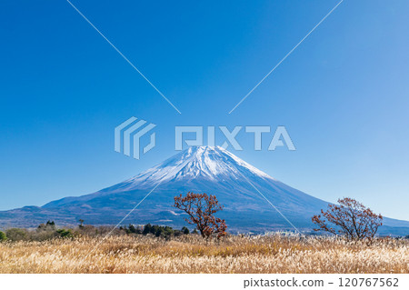 「靜岡縣」秋天的朝霧高原和芒芒蔓延的富士山 120767562
