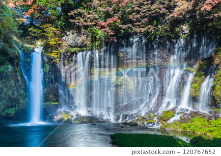 "Shizuoka Prefecture" Shiraito Falls surrounded by autumn leaves "Shizuoka Prefecture" Shiraito Falls surrounded by autumn leaves 120767652