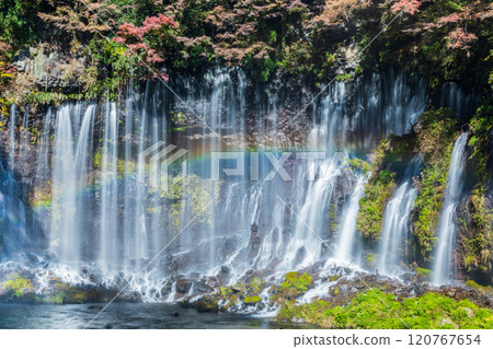 "Shizuoka Prefecture" Shiraito Falls surrounded by autumn leaves "Shizuoka Prefecture" Shiraito Falls surrounded by autumn leaves 120767654