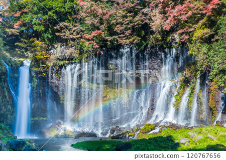 "Shizuoka Prefecture" Shiraito Falls surrounded by autumn leaves 120767656