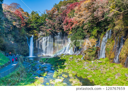 "Shizuoka Prefecture" Shiraito Falls surrounded by autumn leaves "Shizuoka Prefecture" Shiraito Falls surrounded by autumn leaves 120767659