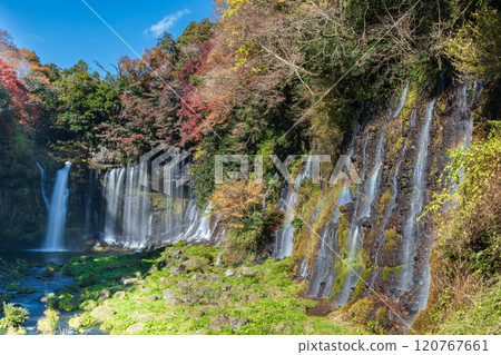 "Shizuoka Prefecture" Shiraito Falls surrounded by autumn leaves 120767661