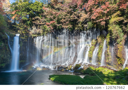"Shizuoka Prefecture" Shiraito Falls surrounded by autumn leaves 120767662