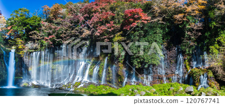 "Shizuoka Prefecture" Rainbow over Shiraito Falls in Autumn "Shizuoka Prefecture" Rainbow over Shiraito Falls in Autumn 120767741