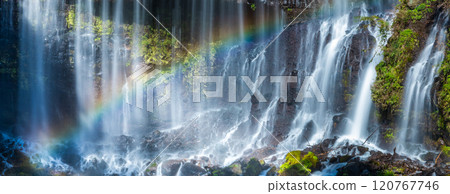 "Shizuoka Prefecture" Rainbow over Shiraito Falls in Autumn 120767746