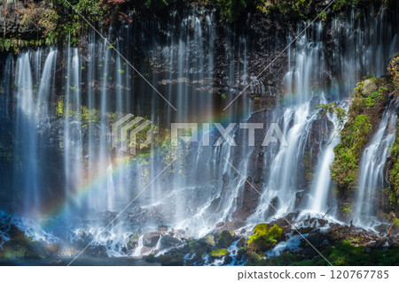 "Shizuoka Prefecture" Rainbow over Shiraito Falls in Autumn 120767785
