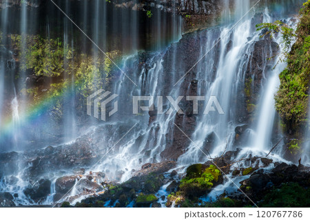 "Shizuoka Prefecture" Rainbow over Shiraito Falls in Autumn 120767786