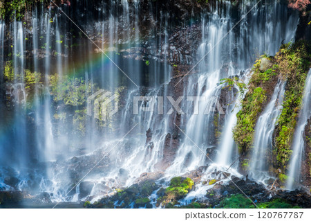 靜岡縣白絲瀑布的秋天彩虹 靜岡縣白絲瀑布的秋天彩虹 120767787