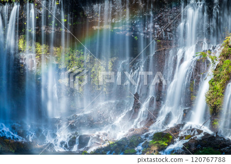 "Shizuoka Prefecture" Rainbow over Shiraito Falls in Autumn 120767788
