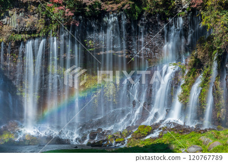 靜岡縣白絲瀑布的秋天彩虹 120767789