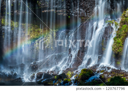 "Shizuoka Prefecture" Rainbow over Shiraito Falls in Autumn "Shizuoka Prefecture" Rainbow over Shiraito Falls in Autumn 120767796