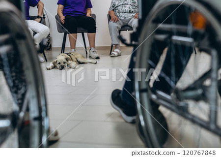 A group of residents at a care facility enjoying time together with a friendly dog in a supportive environment. A group of residents at a care facility enjoying time together with a friendly dog in a supportive environment. 120767848