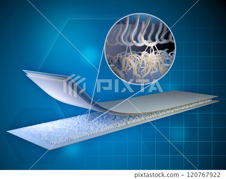 Velcro strip diagram 120767922