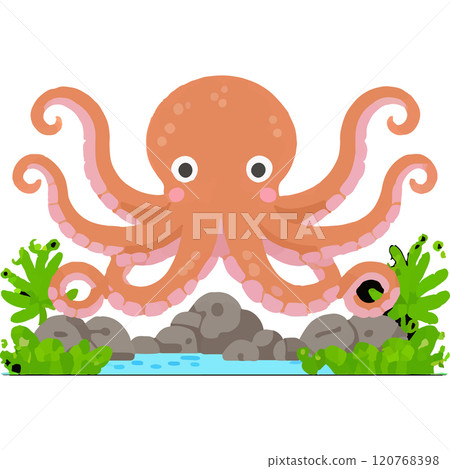Octopus Marine Explorer Evolutionary Animal 120768398