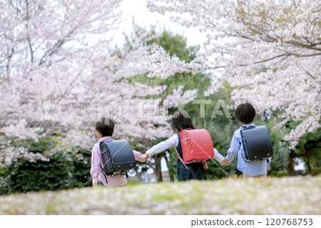 小學生穿過櫻花盛開的公園的後視圖 120768753