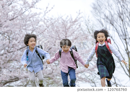 Elementary school students running through a park with cherry blossoms in bloom Elementary school students running through a park with cherry blossoms in bloom 120768760