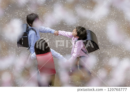 小學生在櫻花盛開的公園裡玩耍 120768777