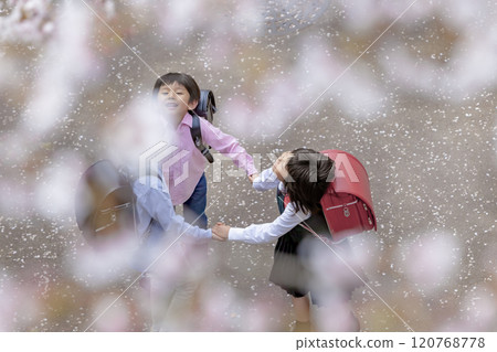 小學生在櫻花盛開的公園裡玩耍 小學生在櫻花盛開的公園裡玩耍 120768778
