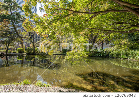 Shimizudani Park, Kioicho, Chiyoda-ku, Tokyo 120769048