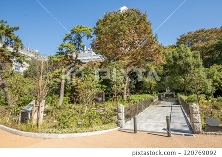 東京都千代田區紀尾井町清水穀公園 120769092