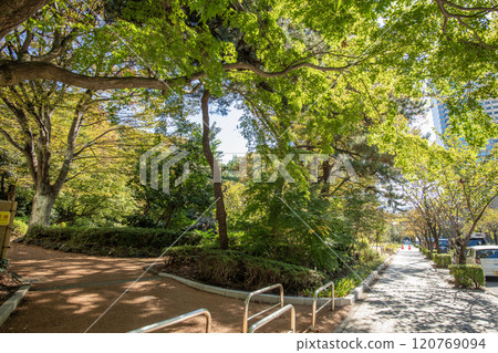 東京都千代田區紀尾井町清水穀公園 120769094