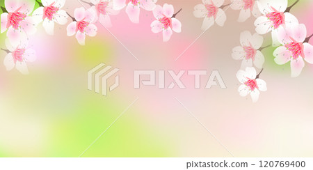 Japanese pattern New Year's card Cherry blossom background Japanese pattern New Year's card Cherry blossom background 120769400