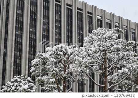 Winter in Seoul with Snow 120769438