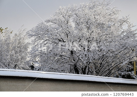 Winter in Seoul with Snow 120769443