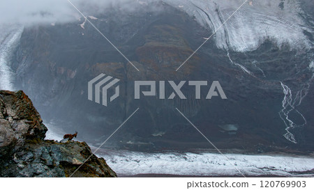 戈爾納格勒戈爾納冰川和野山羊瑞士採爾馬特 120769903