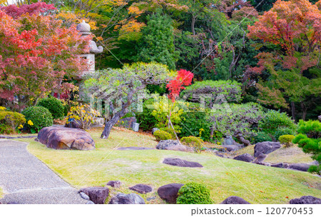 神戶須磨離宮公園的日本庭園和秋葉 神戶須磨離宮公園的日本庭園和秋葉 120770453