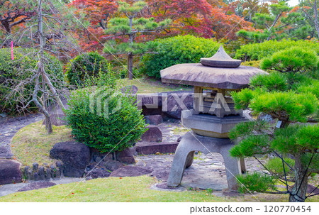 神戶須磨離宮公園的日本庭園和秋葉 120770454