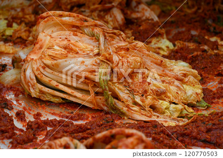 'Kimjang', an early winter event unique to Korea 120770503