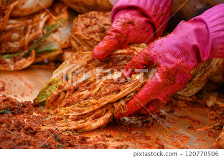 'Kimjang', an early winter event unique to Korea 120770506