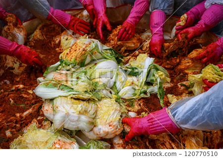 'Kimjang', an early winter event unique to Korea 120770510