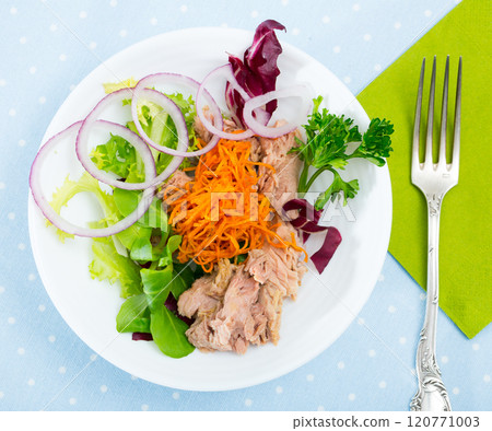 Top view of salad with carrot, canned tuna, onion Top view of salad with carrot, canned tuna, onion 120771003